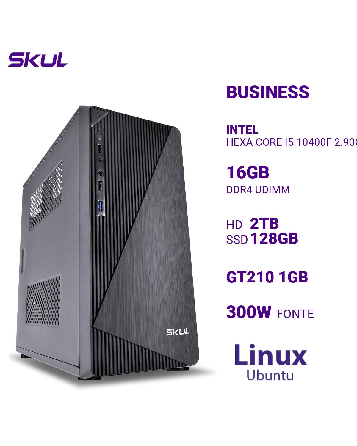 COMPUTADOR BUSINESS B500 HEXA CORE I5 10400F 2.90GHZ MEM 16GB DDR4 HD 2TB SSD 128GB GT210 1GB FONTE 300W LINUX