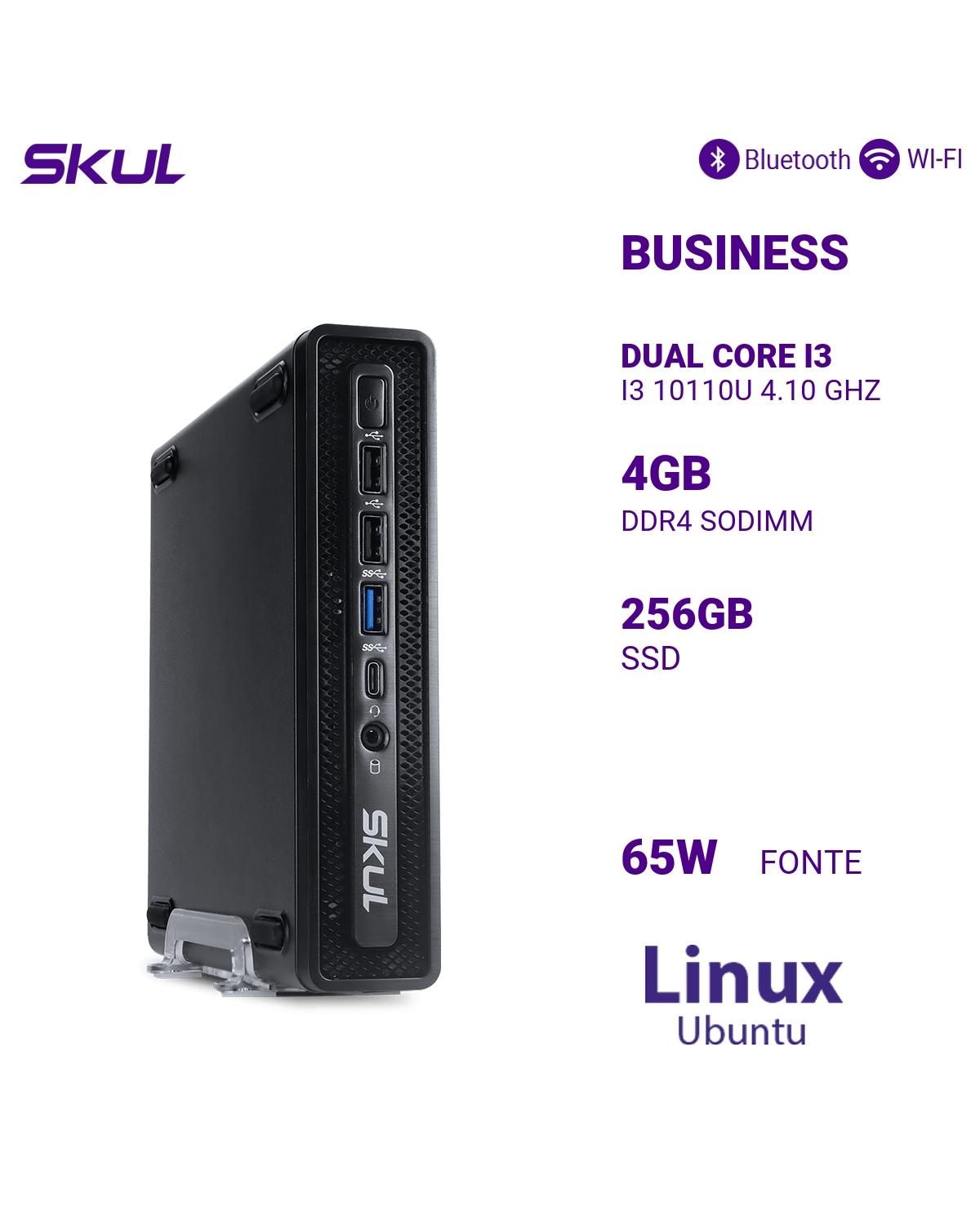 COMPUTADOR B300 DUAL CORE I3 I3 10110U 4.10 GHZ MEMÓRIA 4GB DDR4 SSD 256GB FONTE 65W EXTERNA LINUX UBUNTU